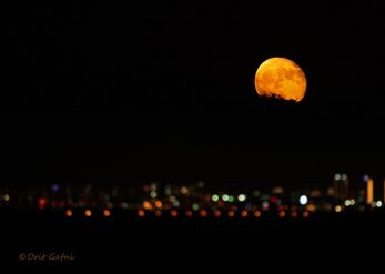 Moon Above the City