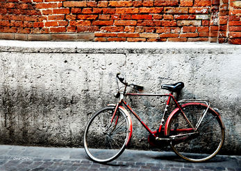 Just Bicycle 