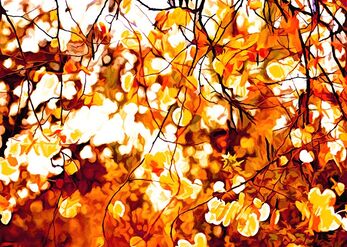The Wind Whispers in the Leaves 2