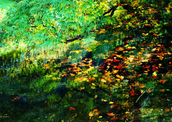Between summer and fall
