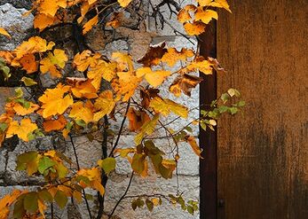 Automn at the Gate