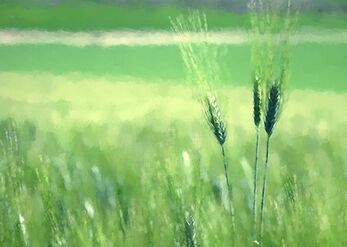 Spring gifts