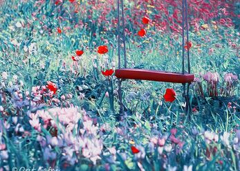 Childhood in Nature