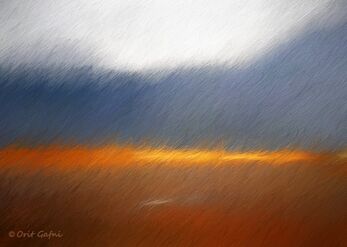 Light in the mist