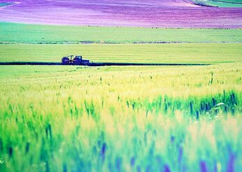 First furrow
