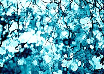 The Wind Whispers in the Leaves 1