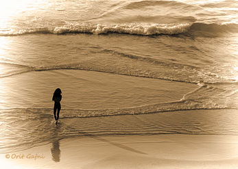 Reflections