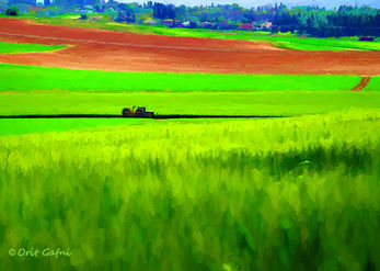 Fields