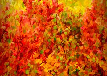 Shades of fall
