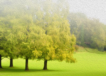 Grass Legend 