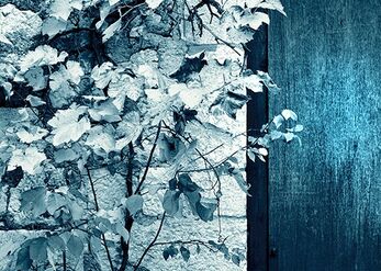 Automn at the Gate 2