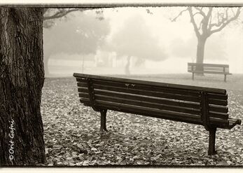 Dialogue in the Mist