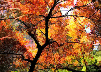 Between seasons