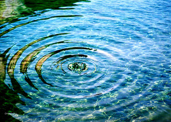 Sea mandala